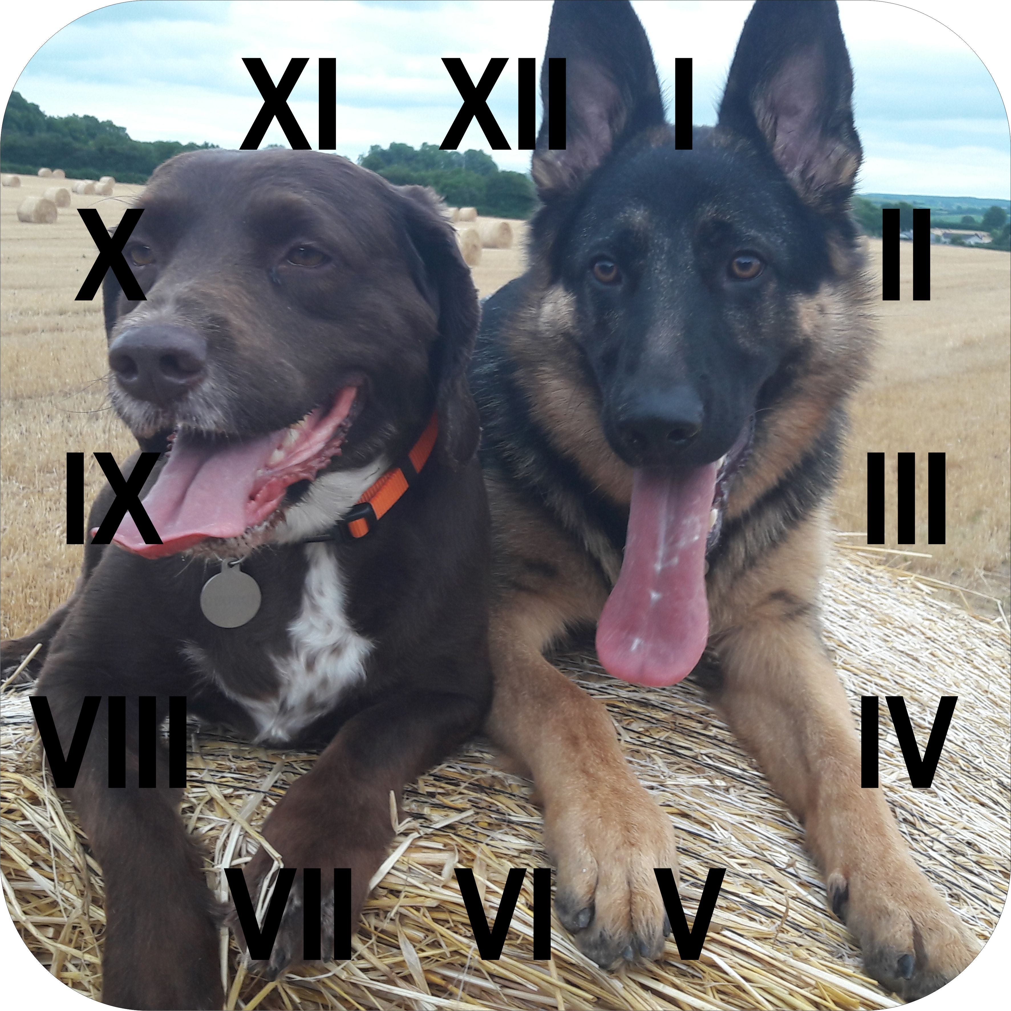 Photo Clock - Your Image Printed on the Clock - Size 30cm Square with Roman Numerals - Family, Pets, Cars - Unique Personalised Special Gift