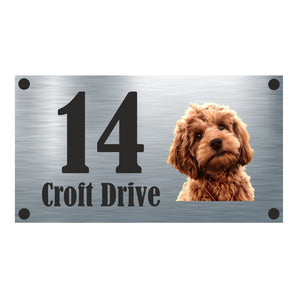 Dog Collection - Colour Cockapoo Aluminium House Sign - Personalised